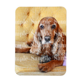 Pet memorial phop PERSONALIZE Magnet