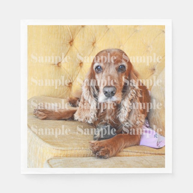 Pet memorial phop PERSONALIZE Pappersservett (Framsidan)