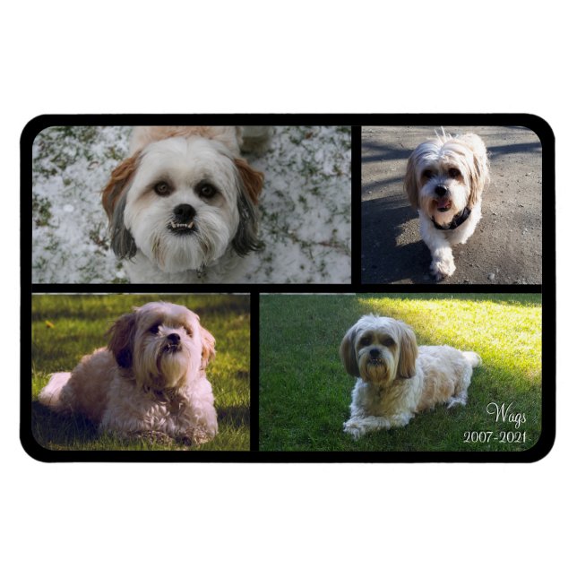 Pet Memorial Photo Collage Namn med Data Magnet (Horisontell)