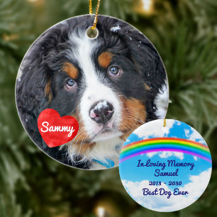 Pet Memorial - Rainbow Bridge Modern Hund Photo Julgransprydnad Keramik