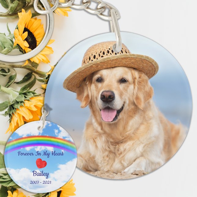 Pet Memorial - Regnbåge i överhoppningsminne - För (Skapare uppladdad)