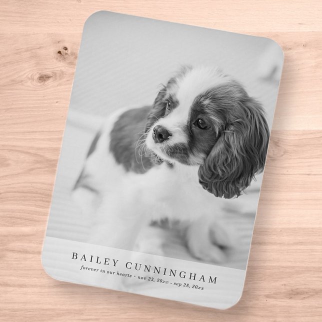 Pet Memorial Simple Modern Lodrät Photo Card Magnet (Skapare uppladdad)