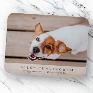 Pet Memorial Simple och Modern Anpassningsbar Phot Magnet