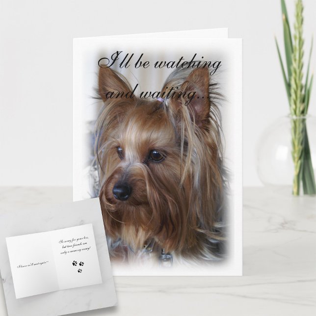 Pet Memorial Sympathy Kort (Skapare uppladdad)