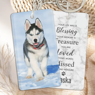 Pet Memorial Sympathy Pet Loss Loss Photo Memorial