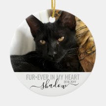 Pet Memorial Sympathy Photo FurNow i mitt hjärta
