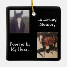 Pet Memorial Two Photo Keepsak