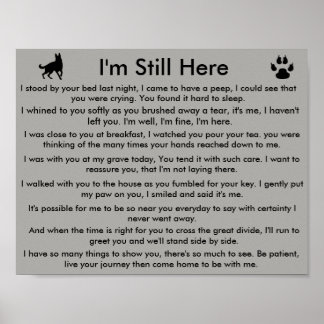 Pet-minne Poster