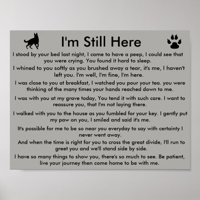 Pet-minne Poster (Framsidan)