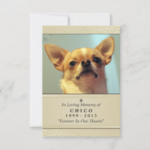 Pet-minneskort 3,5 x 5 tum - Creme Modern Photo Meddelande