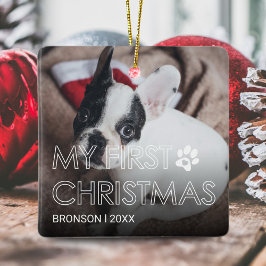 Pet My First jul Ceramic Ornamic Julgransprydnad Keramik