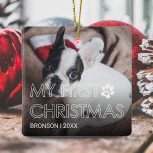 Pet My First jul Ceramic Ornamic Julgransprydnad Keramik