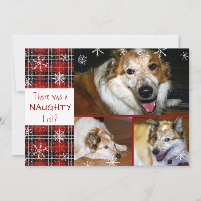 Pet Naughty eller Nice Snowflake Play 3 Foton Julkort (Framsida)