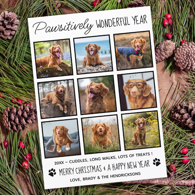 Pet Pawsiely Wonderful Pet Hund Photo Collage Julkort (Skapare uppladdad)