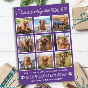 Pet-Personligens fotokollage-år under granskning Julkort