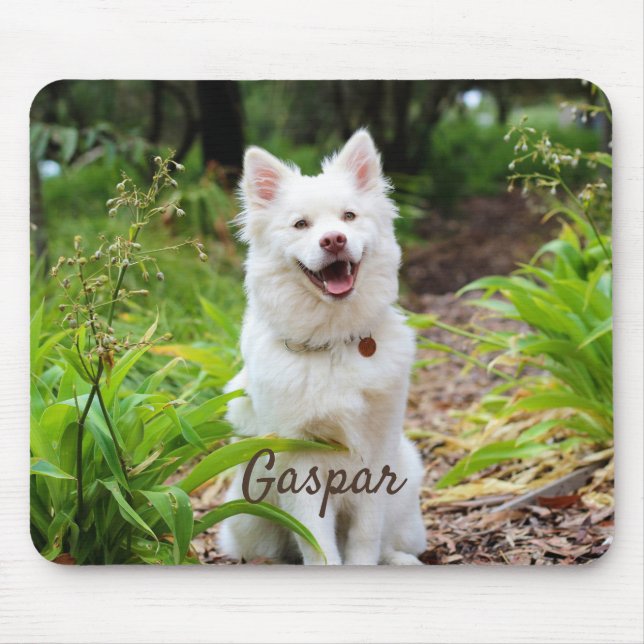 Pet Photo and Namn Personlig Musmatta (Framsidan)