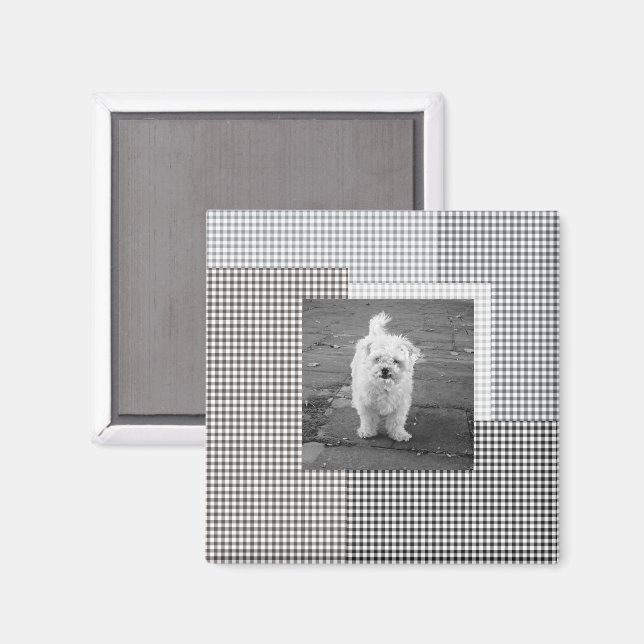 Pet PHOTO Classic Gingham Mönster neutralt chic Magnet (Front/Back)