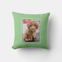 Pet Photo Customized Hund Pillow