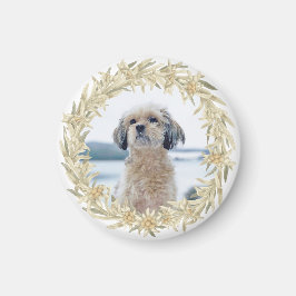 Pet Photo Edelweiss Alpine Blommigt WAN Magnet