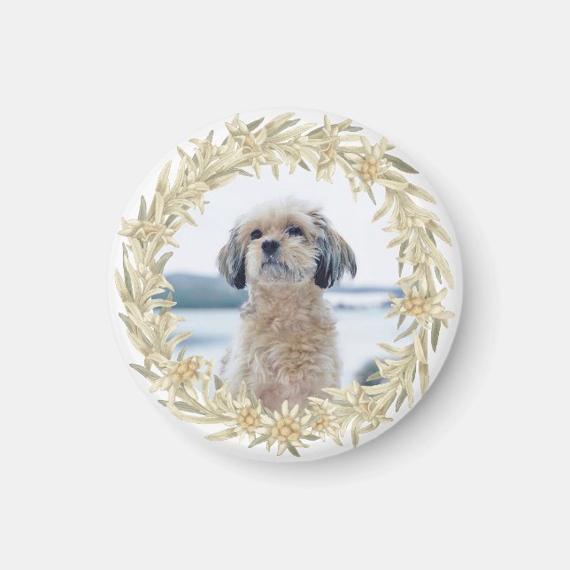 Pet Photo Edelweiss Alpine Blommigt WAN Magnet (Framsidan)