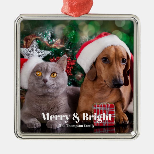 Pet Photo Family Namn Merry och Bright Julgransprydnad Metall (Framsidan)