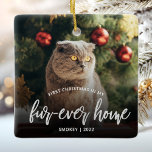 Pet Photo First Christmas Forever Home Silver Julgransprydnad Keramik<br><div class="desc">Commemorate your pet's first Christmas in their new home with this beautiful modern keepsake ornament. The text reads "First Christmas in my fur-ever home, " with the words "fur-ever home" in elegant silver faux foil script. Replace the sample image with a photo of your cat or dog and add their...</div>