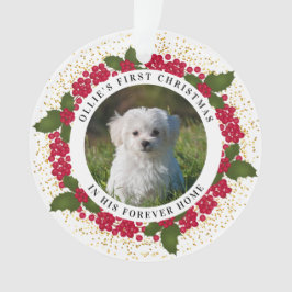Pet Photo First Forever Home God-jul