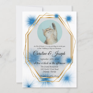Pet Photo for Bröllop with Blue Tuft of Päls Invit Inbjudningar