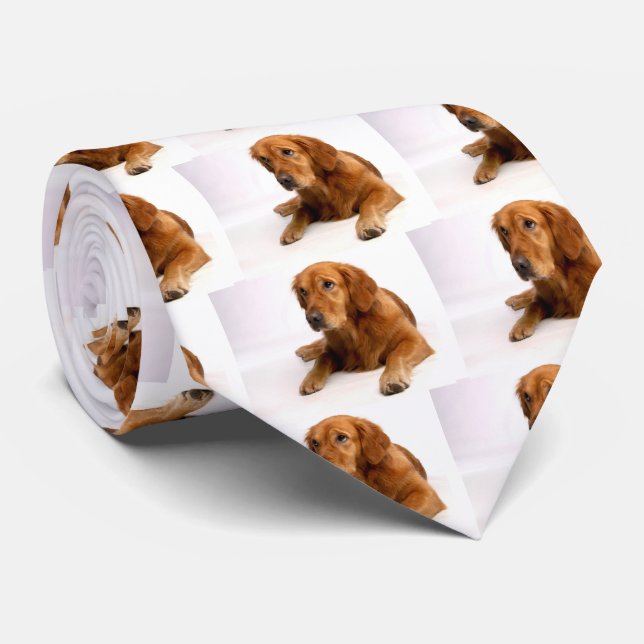 Pet Photo Golden Retriever Ties Slips (Rullad)