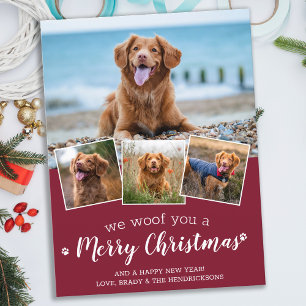 Pet Photo Helgdag för Anpassningsbarna Budget God