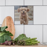 Pet Photo | Hund för uppladdningsklocka för Bild Kakelplatta<br><div class="desc">Anpassningsbarnas fotodesign är din egen mall som innehåller ditt favoritfoto av din hund, katt, sällskapsdjur, baby, barn, familj eller vänner! Det är enkelt att anpassa mallen så att du kan skapa en egen design av god kvalitet med bilder. Perfektens gåva till en älskad person! Bilderna som visas är endast avsett...</div>