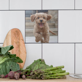 Pet Photo | Hund för uppladdningsklocka för Bild Kakelplatta