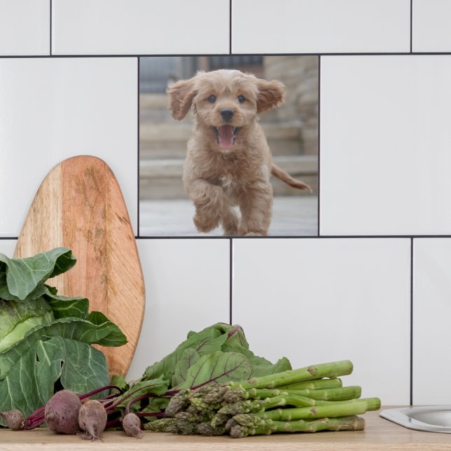 Pet Photo | Hund för uppladdningsklocka för Bild Kakelplatta (Skapare uppladdad)