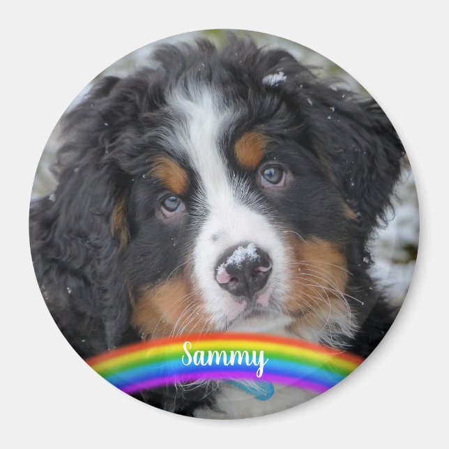 Pet Photo - Hund - Kat - Pet Memorial Magnet (Framsidan)