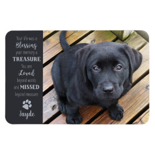 Pet Photo - Hund Photo - Cat Photo - Pet Memorial Magnet