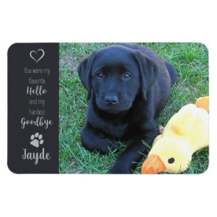 Pet Photo - Hund Photo - Cat Photo - Pet Memorial Magnet