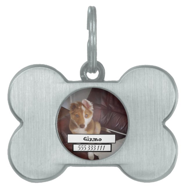 Pet Photo ID-bricka Husdjur (Framsidan)
