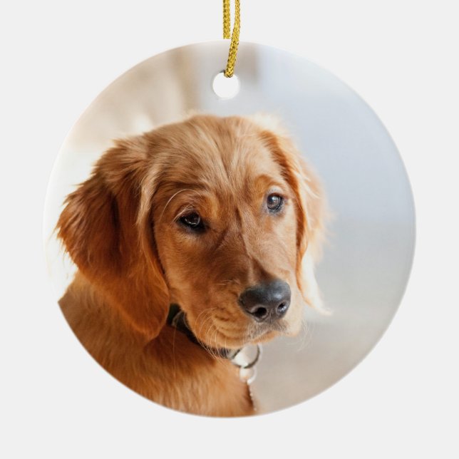 Pet Photo Julgransprydnad Keramik (Framsidan)