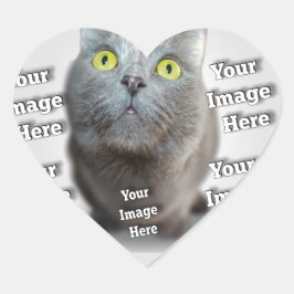 PET Photo ✨ Loely Anpassningsbar Hjärtformat Klistermärke
