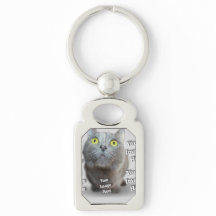 PET Photo ✨ Loely Anpassningsbar