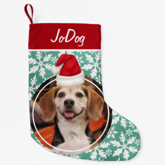 Pet Photo med Red Santa Hat Grönt Snöflingor Liten Julstrumpa