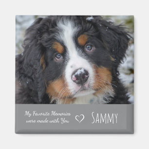 Pet Photo Memorial-Hund älskare Gift - Pet Loss-of Magnet