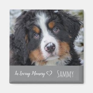 Pet Photo Memorial - Hund älskare Keepsak - Pet Lo Magnet