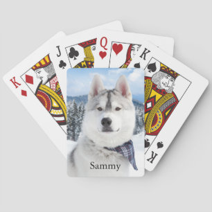 Pet Photo Namn  Casinokort
