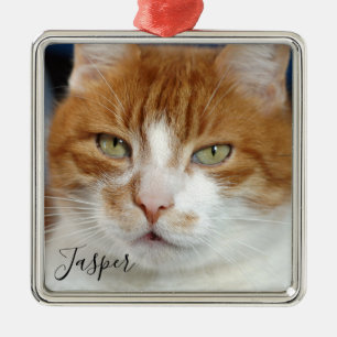 Pet Photo Namn jul Julgransprydnad Metall