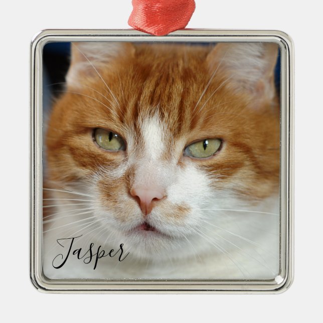 Pet Photo Namn jul Julgransprydnad Metall (Framsidan)