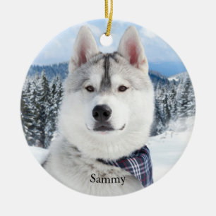 Pet Photo Namn Julgransprydnad Keramik