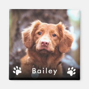 Pet Photo Namn Magnet