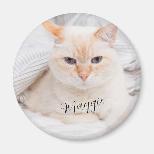Pet Photo Namn Magnet (Framsidan)