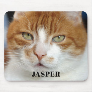 Pet Photo Namn Musmatta